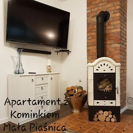 Domek Letniskowy Na Kaszubach Lub Apartament Z Kominkiem Пуцьк Екстер'єр фото