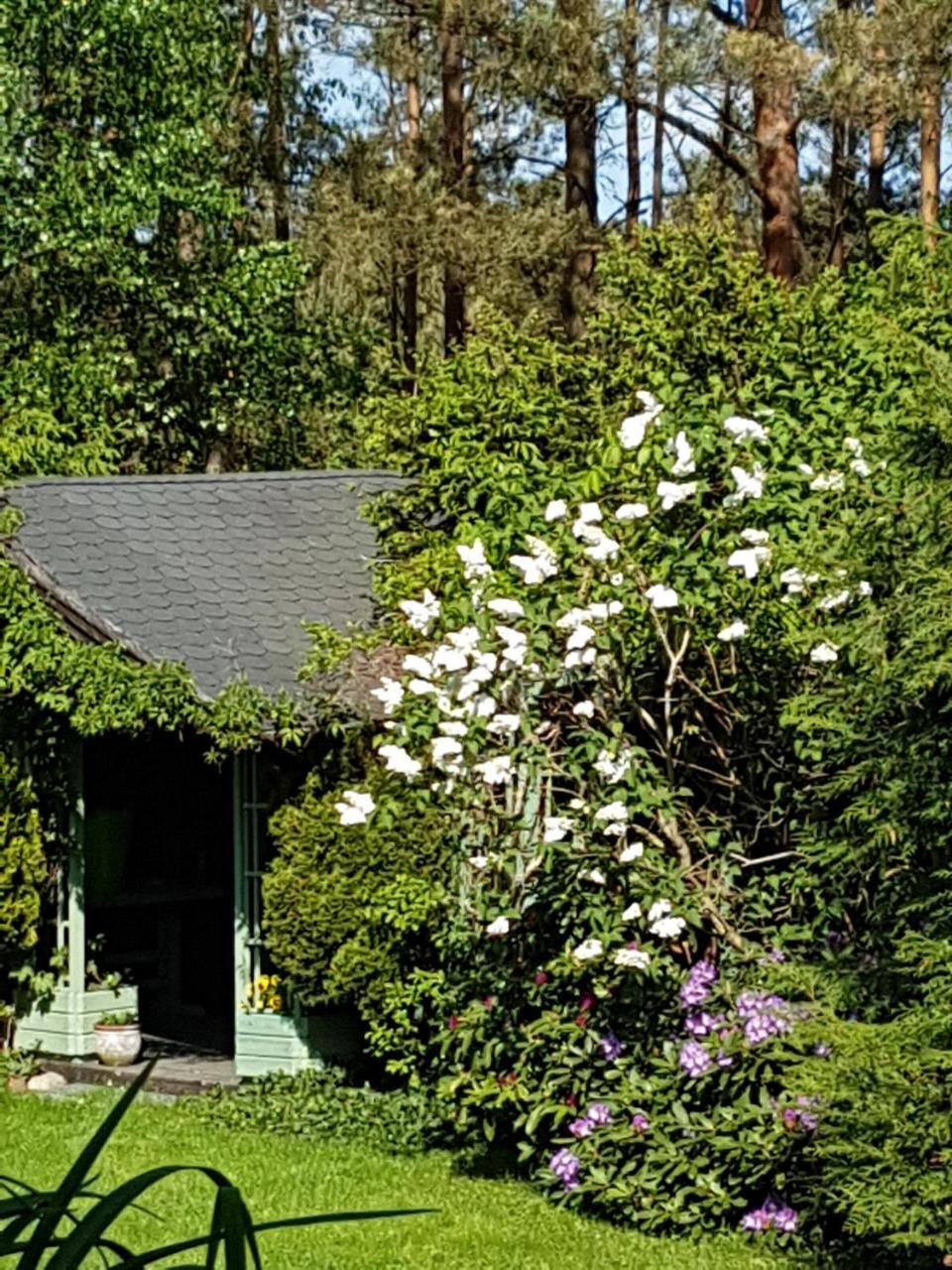 Lodge Letniskowy Na Kaszubach Lub Z Kominkiem
