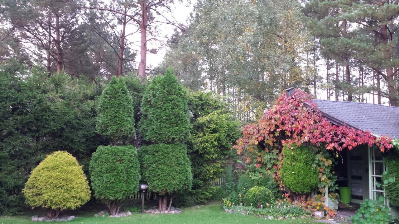 Letniskowy Na Kaszubach Lub Z Kominkiem Lodge *
