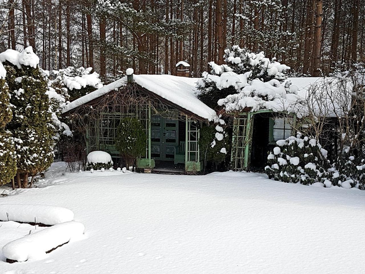 Lodge Letniskowy Na Kaszubach Lub Z Kominkiem *