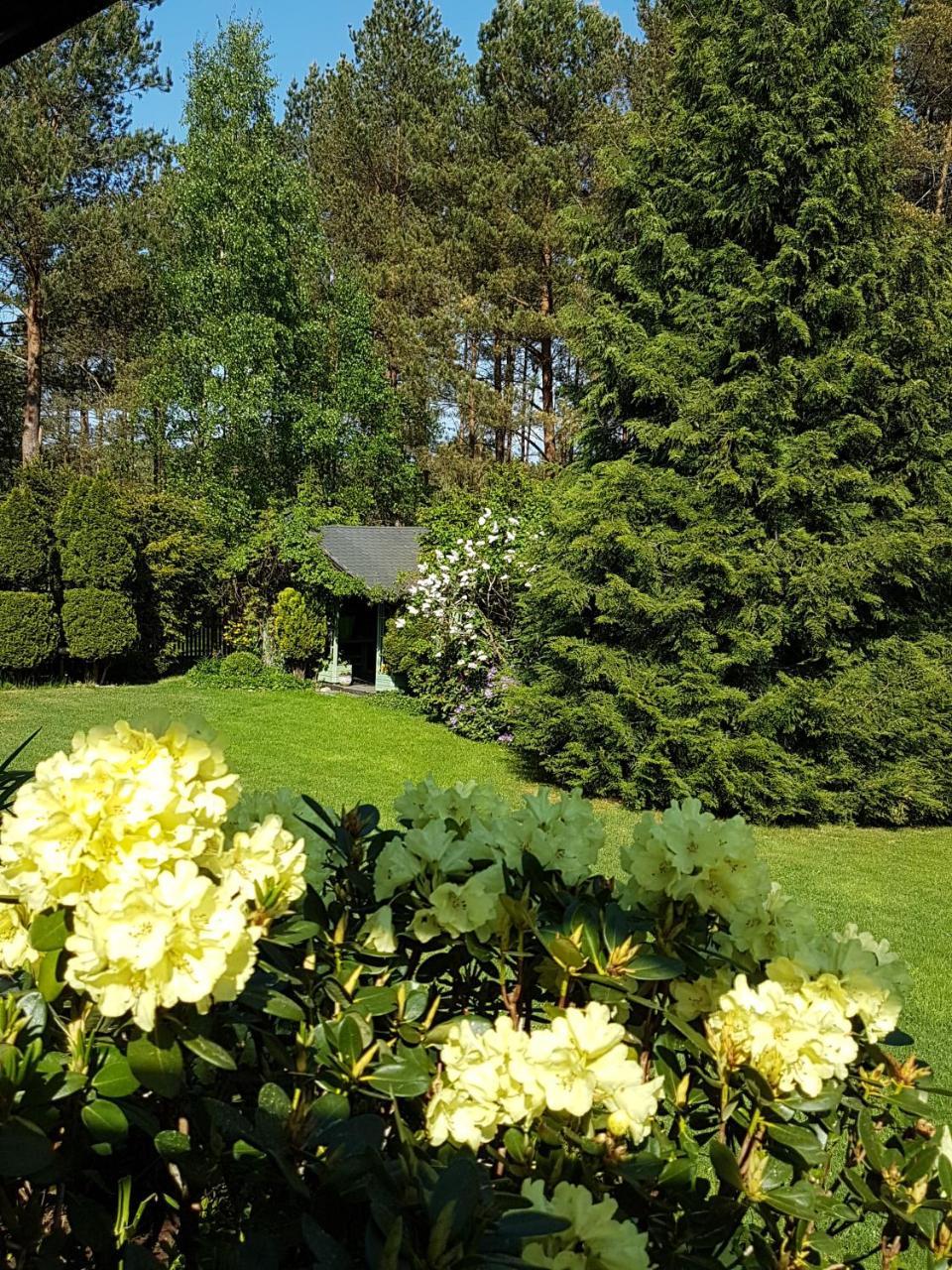 Lodge Letniskowy Na Kaszubach Lub Z Kominkiem
