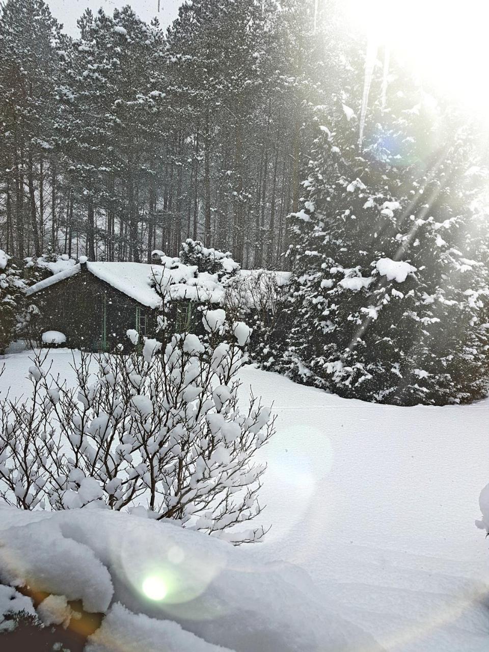 Letniskowy Na Kaszubach Lub Z Kominkiem Lodge Puck