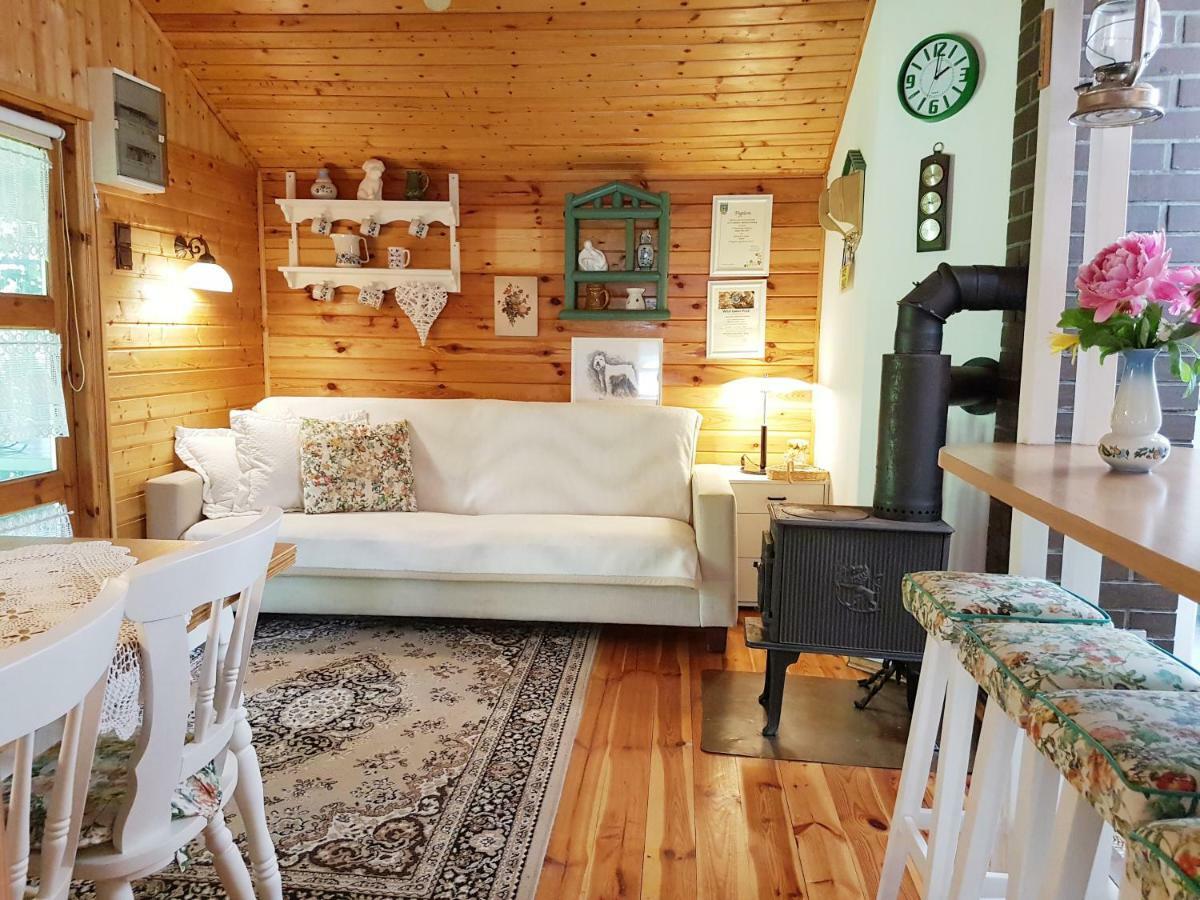 Lodge Letniskowy Na Kaszubach Lub Z Kominkiem *