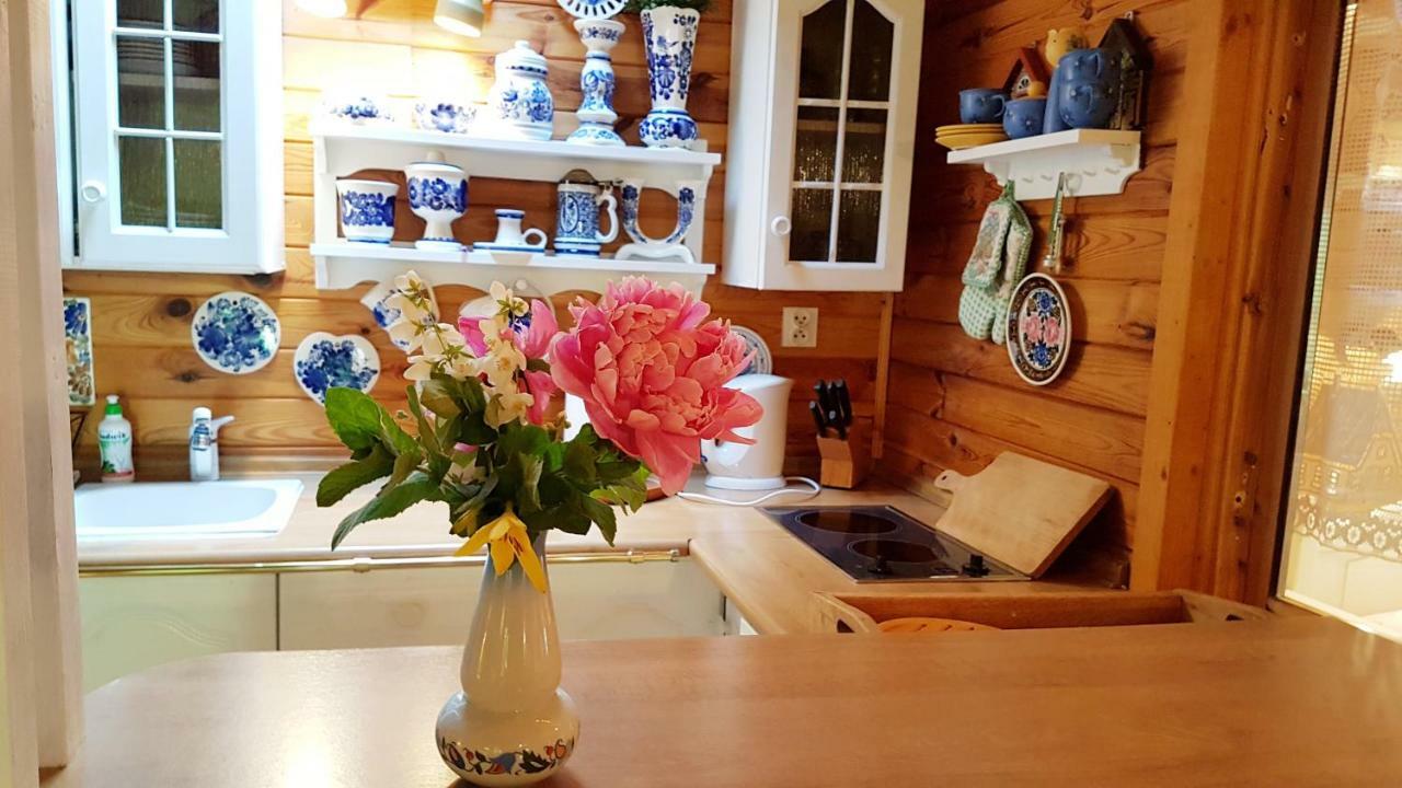 Lodge Letniskowy Na Kaszubach Lub Z Kominkiem *