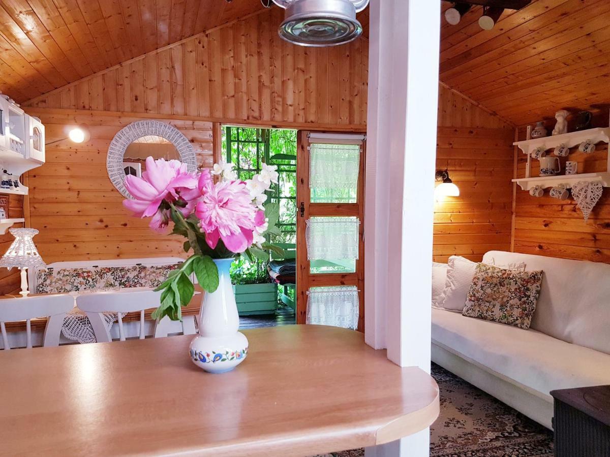 Lodge Letniskowy Na Kaszubach Lub Z Kominkiem *
